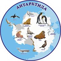 Обучающий стенд ПЛАНЕТА ЗЕМЛЯ. АНТАРКТИДА, 0,5*0,5м