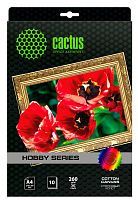Холст Cactus CS-CA426010
