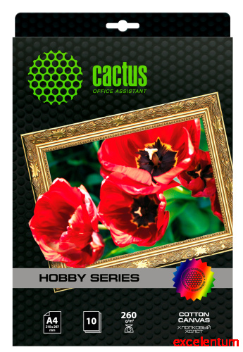 Холст Cactus CS-CA426010 Холст Cactus CS-CA426010