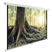 Экран Cactus 220x220см WallExpert CS-PSWE-220x220-WT