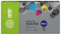 Картридж струйный Cactus CS-EPT973100