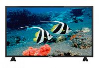Телевизор LED Starwind 43" SW-LED43BA201