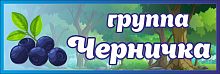 Табличка для детского сада ГРУППА ЧЕРНИЧКА, 0,3*0,1м