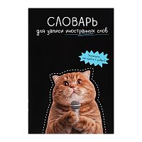 Тетрадь для изучения иностранных слов "Кот с микрофоном" А5, 24 л.