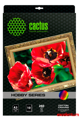 Холст Cactus CS-CA326010