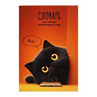 Тетрадь для изучения иностранных слов "Кот с телефоном" А5, 24 л.