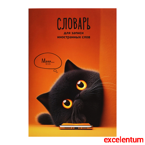 Тетрадь для изучения иностранных слов "Кот с телефоном" А5, 24 л.