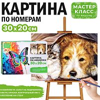 Набор для рисования "Картина по номерам 20*30 см. "Дружба"