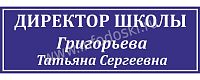 Табличка для школы в синем цвете ДИРЕКТОР ШКОЛЫ, 0,3*0,1м