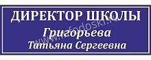 Табличка для школы в синем цвете ДИРЕКТОР ШКОЛЫ, 0,3*0,1м