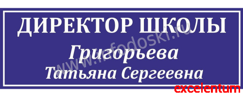 Табличка для школы в синем цвете ДИРЕКТОР ШКОЛЫ, 0,3*0,1м