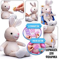 Заяц "Волшебный заяц" в коробке