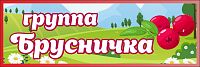 Табличка для детского сада ГРУППА БРУСНИЧКА, 0,3*0,1м