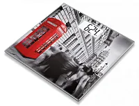 Весы напольные электронные Beurer GS203 London