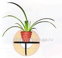 Полка «Обруч»