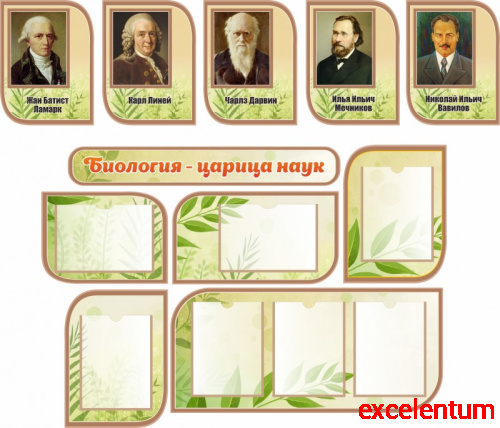 Комплект стендов для школы БИОЛОГИЯ - ЦАРИЦА НАУК Комплект стендов для школы БИОЛОГИЯ - ЦАРИЦА НАУК