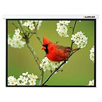 Экран Lumien 171x128см Master Picture LMP-100108