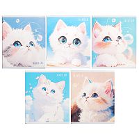 Тетрадь 48л. клетка "Cute Fluffy" А5 скрепка