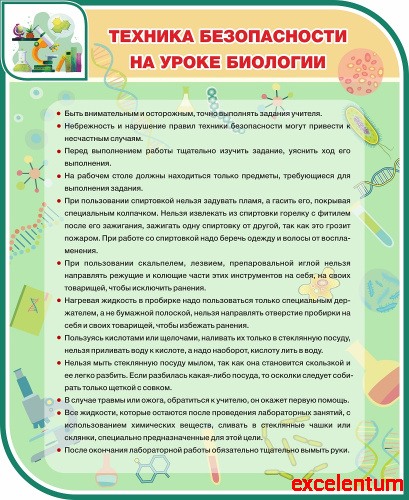 Стенд для школы ТЕХНИКА БЕЗОПАСНОСТИ НА УРОКЕ БИОЛОГИИ, 0,9*1,1м