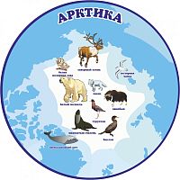 Обучающий стенд ПЛАНЕТА ЗЕМЛЯ. АРКТИКА, 0,5*0,5м