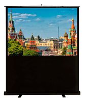 Экран Cactus 150x200см FloorCompactExpert CS-PSFLCE-200X150