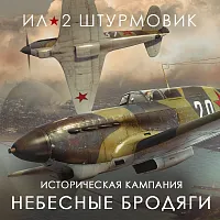 Дополнение к игре для ПК 1C Game Studios Кампания Небесные бродяги (16+) (RUS)