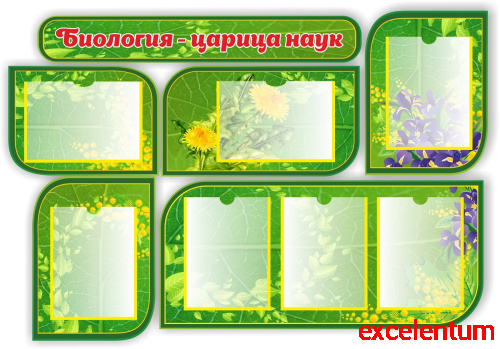 Комплект стендов для школы БИОЛОГИЯ - ЦАРИЦА НАУК, 1,29*0,89м Комплект стендов для школы БИОЛОГИЯ - ЦАРИЦА НАУК, 1,29*0,89м