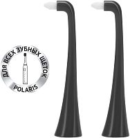 Насадка для зубных щеток Polaris TBH 0105 MP (2) Графитовый