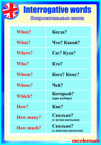 Стенд для школы INTERROGATIVE WORDS - ВОПРОСИТЕЛЬНЫЕ СЛОВА, 0,7*1м фото 2 Стенд для школы INTERROGATIVE WORDS - ВОПРОСИТЕЛЬНЫЕ СЛОВА, 0,7*1м фото 2