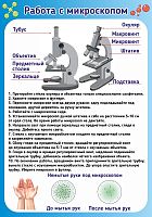 Стенд для школы РАБОТА С МИКРОСКОПОМ, 0,56*0,8м