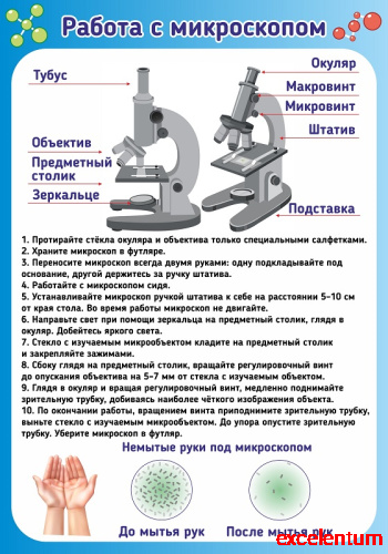 Стенд для школы РАБОТА С МИКРОСКОПОМ, 0,56*0,8м