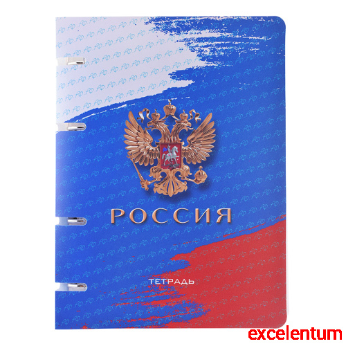 Тетрадь 80л. на кольц. А5 пл.обл., "Россия"