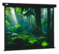 Экран Cactus 213x213см Wallscreen CS-PSW-213X213-BK