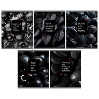 Тетрадь 48л. клетка "Natural Black" А5 скрепка