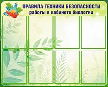 Стенд для школы ТЕХНИКА БЕЗОПАСНОСТИ В КАБИНЕТЕ БИОЛОГИИ, 1*0,8м