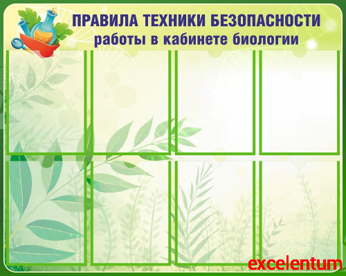 Стенд для школы ТЕХНИКА БЕЗОПАСНОСТИ В КАБИНЕТЕ БИОЛОГИИ, 1*0,8м Стенд для школы ТЕХНИКА БЕЗОПАСНОСТИ В КАБИНЕТЕ БИОЛОГИИ, 1*0,8м