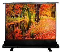 Экран Cactus 150x200см FloorExpert CS-PSFLE-200X150