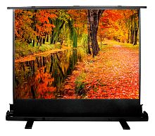 Экран Cactus 150x200см FloorExpert CS-PSFLE-200X150