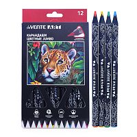 Карандаши цветные "Jumbo Art" 12 цветов, диаметр корпуса 10 мм, диаметр грифеля 4 мм, трехгранные, в картонной коробке