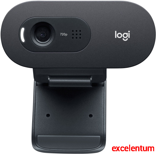 Камера Web Logitech HD Webcam C505e фото 3 Камера Web Logitech HD Webcam C505e фото 3