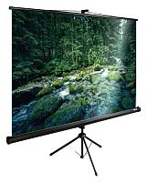 Экран Cactus 165x220см TriExpert CS-PSTE-220x165-BK