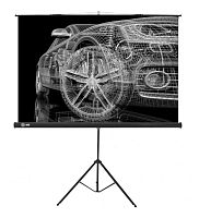 Экран Cactus 124.5x221см Triscreen CS-PST-124x221