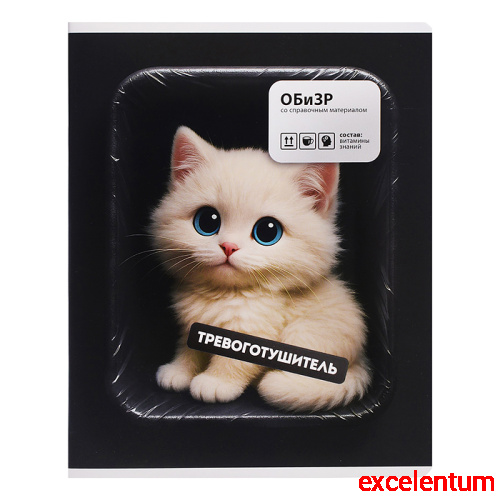 Тетрадь 48 л. клетка "Фразы с характером" ОБиЗР