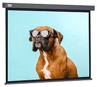 Экран Cactus 149.4x265.7см Wallscreen CS-PSW-149X265-SG